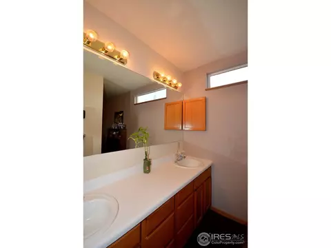 1202 Tanglewood Ct, Windsor, CO 80550 photo 12