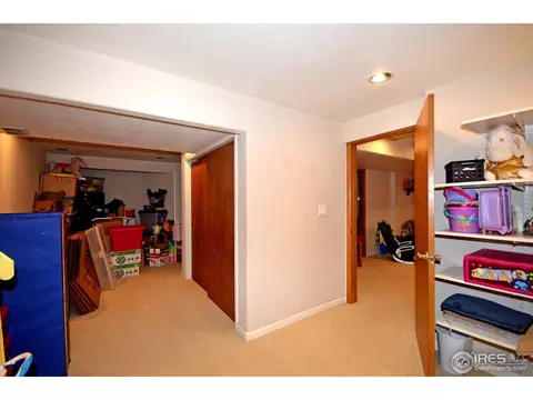 1202 Tanglewood Ct, Windsor, CO 80550 photo 21