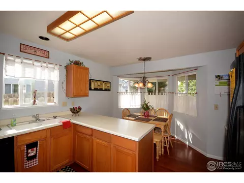 1202 Tanglewood Ct, Windsor, CO 80550 photo 9