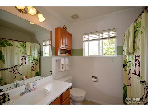 1202 Tanglewood Ct, Windsor, CO 80550 photo 15