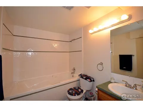 1202 Tanglewood Ct, Windsor, CO 80550 photo 20