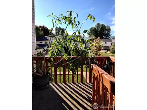 3325 Talisman Ct #D, Boulder, CO 80301 photo 16