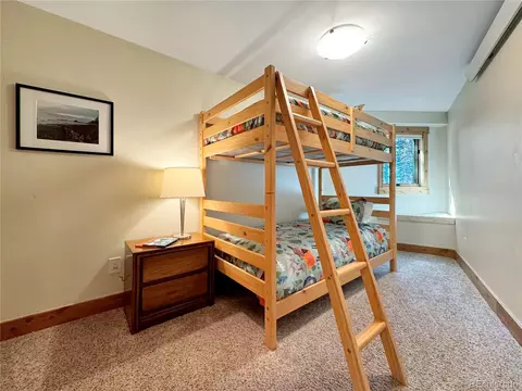 230 Balsh Blvd, Fraser, CO 80442 photo 30