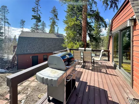 230 Balsh Blvd, Fraser, CO 80442 photo 43