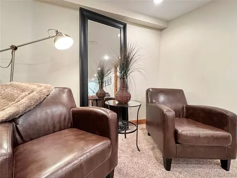 230 Balsh Blvd, Fraser, CO 80442 photo 34