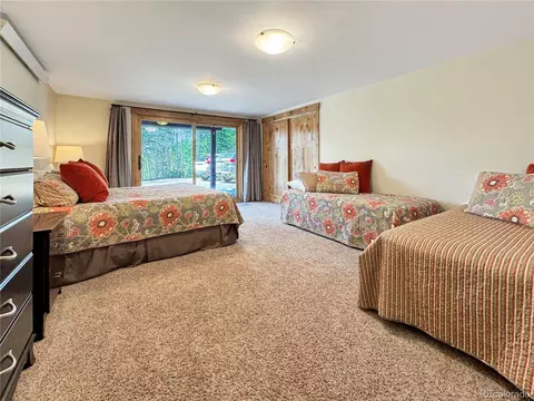 230 Balsh Blvd, Fraser, CO 80442 photo 31
