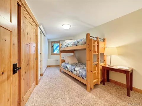 230 Balsh Blvd, Fraser, CO 80442 photo 35