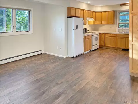 230 Balsh Blvd, Fraser, CO 80442 photo 46