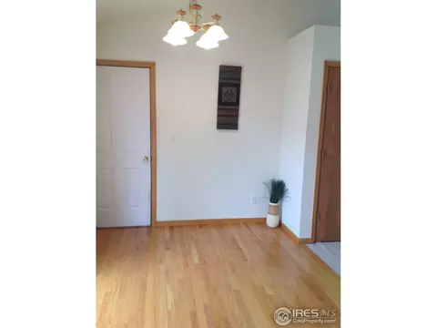 177 Calabria Dr, Windsor, CO 80550 photo 16