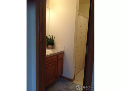 177 Calabria Dr, Windsor, CO 80550 photo 12