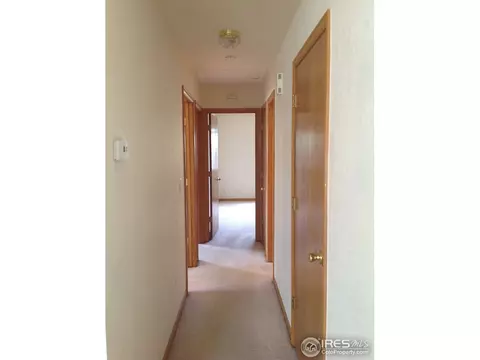 177 Calabria Dr, Windsor, CO 80550 photo 7