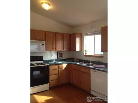 177 Calabria Dr, Windsor, CO 80550 photo 5