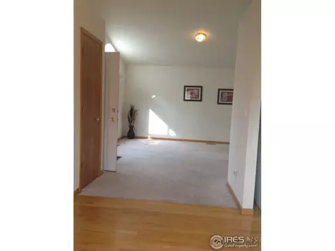 177 Calabria Dr, Windsor, CO 80550 photo 3