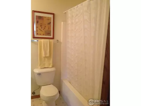177 Calabria Dr, Windsor, CO 80550 photo 11