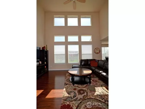 7409 Pimlico Dr, Windsor, CO 80550 photo 5