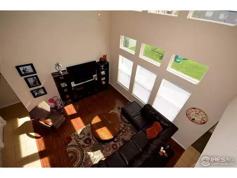 7409 Pimlico Dr, Windsor, CO 80550 photo 7