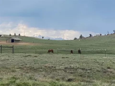 281 Co Rd 98, Lake George, CO 80827