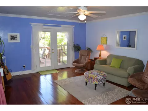 428 4th St, Windsor, CO 80550 photo 15