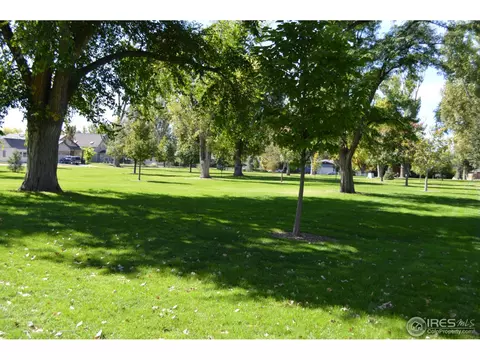 428 4th St, Windsor, CO 80550 photo 4