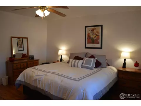 428 4th St, Windsor, CO 80550 photo 14