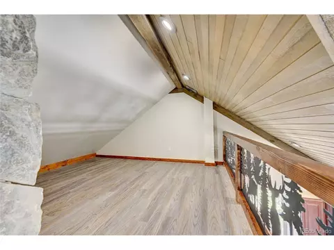 632 Aspen Ln, Bailey, CO 80421 photo 15