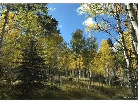 632 Aspen Ln, Bailey, CO 80421 photo 33