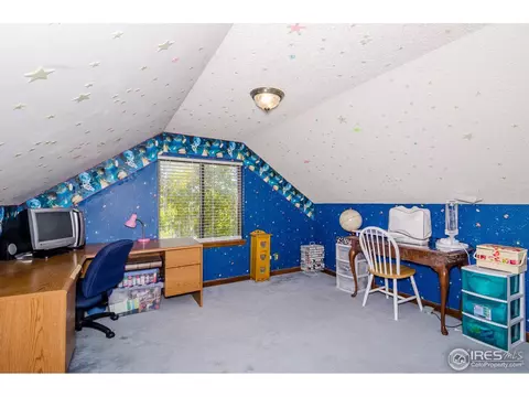 231 Apollo Dr, Black Hawk, CO 80422 photo 14