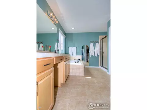 2601 E 136th Pl, Thornton, CO 80602 photo 16