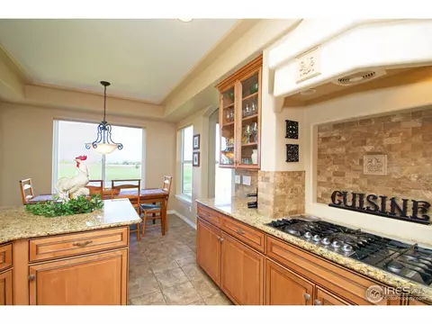 20730 E 52nd Ave, Denver, CO 80249 photo 10