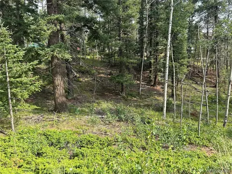127 Rampart Cir, Florissant, CO 80816