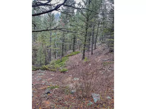 1111 Amazon Lode Dr, Jamestown, CO 80455 photo 11