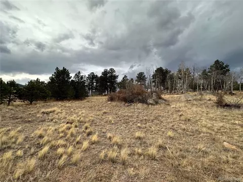 729 Deerview Dr, Florissant, CO 80816