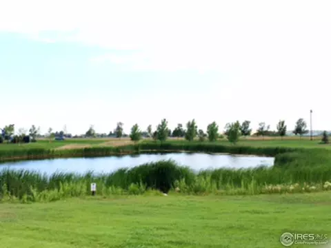 5697 Edgevale St, Timnath, CO 80547 photo 9