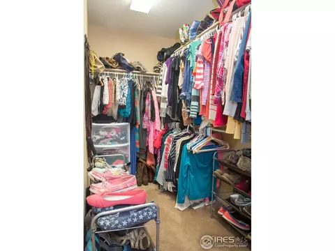 1570 Edenbridge Dr, Windsor, CO 80550 photo 12