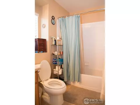 1570 Edenbridge Dr, Windsor, CO 80550 photo 10