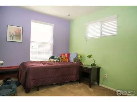 1570 Edenbridge Dr, Windsor, CO 80550 photo 13