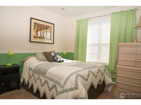 1570 Edenbridge Dr, Windsor, CO 80550 photo 14