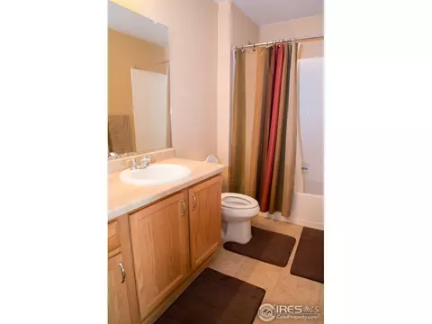 1570 Edenbridge Dr, Windsor, CO 80550 photo 15