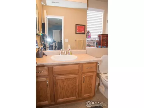 1570 Edenbridge Dr, Windsor, CO 80550 photo 11