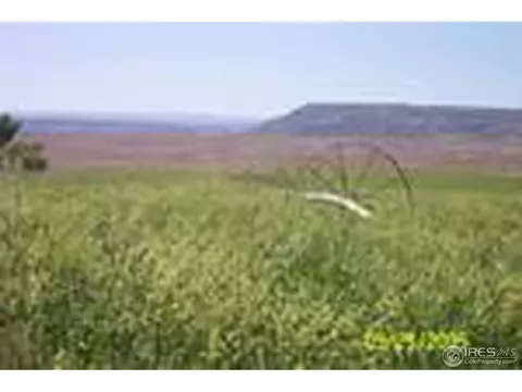 1855 6 Rd, Mack, CO 81525 photo 11