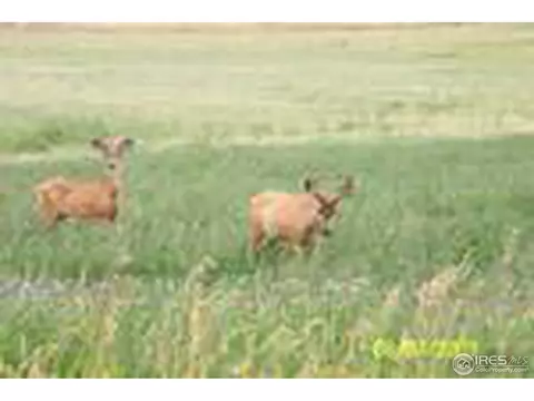 1855 6 Rd, Mack, CO 81525 photo 7