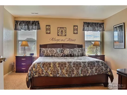 1593 Millfleet Dr, Windsor, CO 80550 photo 16
