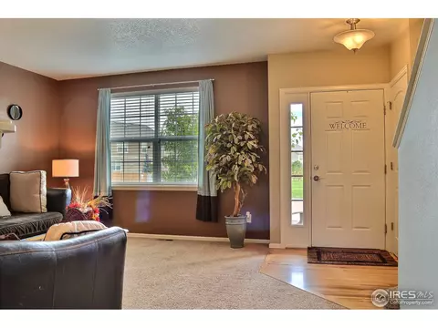 1593 Millfleet Dr, Windsor, CO 80550 photo 5
