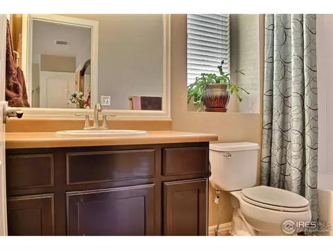 1593 Millfleet Dr, Windsor, CO 80550 photo 17