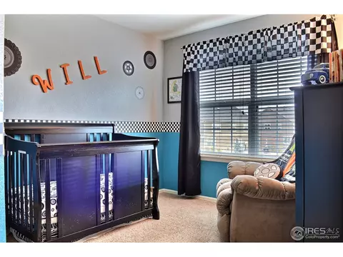 1593 Millfleet Dr, Windsor, CO 80550 photo 19