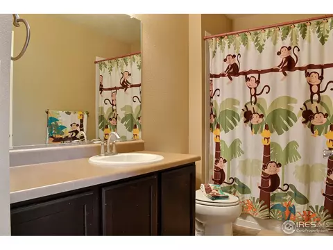 1593 Millfleet Dr, Windsor, CO 80550 photo 21