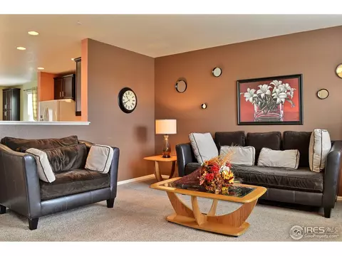 1593 Millfleet Dr, Windsor, CO 80550 photo 3