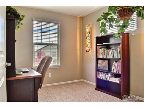 1593 Millfleet Dr, Windsor, CO 80550 photo 20