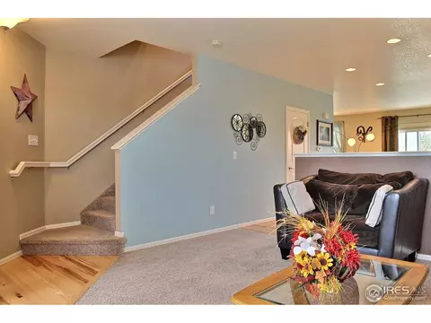 1593 Millfleet Dr, Windsor, CO 80550 photo 4