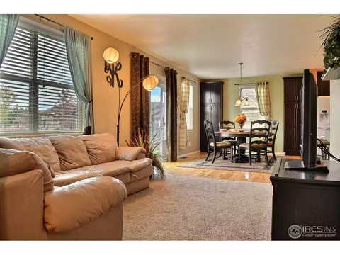 1593 Millfleet Dr, Windsor, CO 80550 photo 15